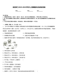 湖北荆门2023-2024学年九上物理期末达标测试试题含答案