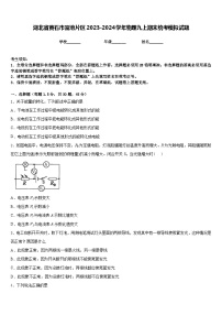 湖北省黄石市富池片区2023-2024学年物理九上期末统考模拟试题含答案