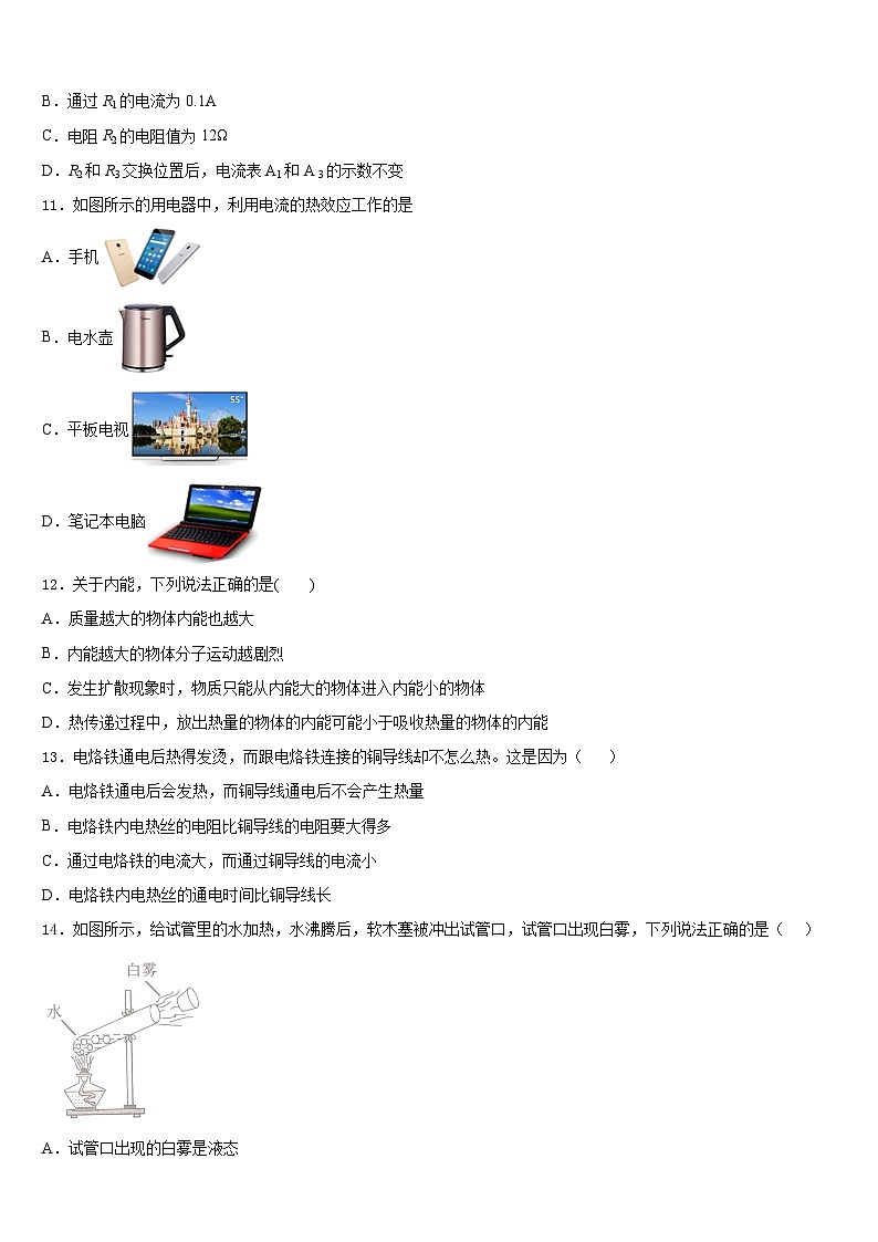 湖北省黄石市富池片区2023-2024学年物理九上期末统考模拟试题含答案第3页