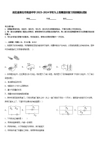 湖北省黄石市陶港中学2023-2024学年九上物理期末复习检测模拟试题含答案