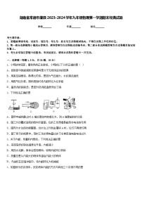 湖南省常德市澧县2023-2024学年九年级物理第一学期期末经典试题含答案