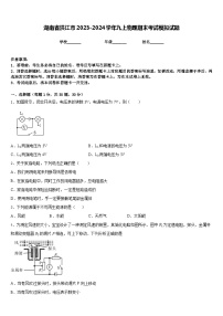 湖南省洪江市2023-2024学年九上物理期末考试模拟试题含答案