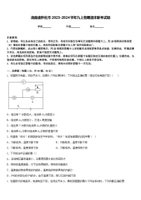 湖南省怀化市2023-2024学年九上物理期末联考试题含答案