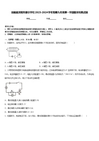 湖南省浏阳市部分学校2023-2024学年物理九年级第一学期期末经典试题含答案