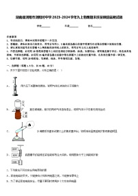 湖南省浏阳市浏阳河中学2023-2024学年九上物理期末质量跟踪监视试题含答案