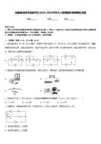 湖南省武冈市洞庭学校2023-2024学年九上物理期末调研模拟试题含答案