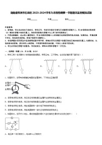 湖南省株洲市石峰区2023-2024学年九年级物理第一学期期末监测模拟试题含答案