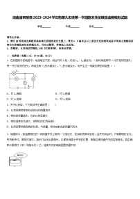 湖南省茶陵县2023-2024学年物理九年级第一学期期末质量跟踪监视模拟试题含答案