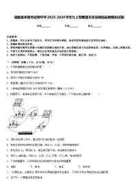 湖南省耒阳市冠湘中学2023-2024学年九上物理期末质量跟踪监视模拟试题含答案