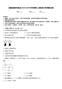 湖南省益阳市赫山区2023-2024学年物理九上期末复习检测模拟试题含答案