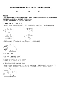 湖南省长沙青雅丽发中学2023-2024学年九上物理期末联考试题含答案