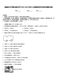 湖南省长沙市雅礼雨花中学2023-2024学年九上物理期末教学质量检测模拟试题含答案