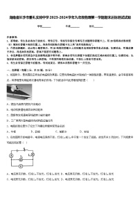 湖南省长沙市雅礼实验中学2023-2024学年九年级物理第一学期期末达标测试试题含答案