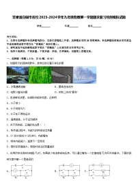 甘肃省白银市名校2023-2024学年九年级物理第一学期期末复习检测模拟试题含答案