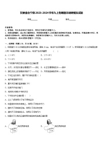 甘肃省会宁县2023-2024学年九上物理期末调研模拟试题含答案