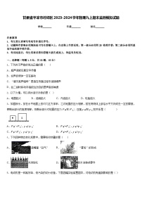 甘肃省平凉市崆峒区2023-2024学年物理九上期末监测模拟试题含答案