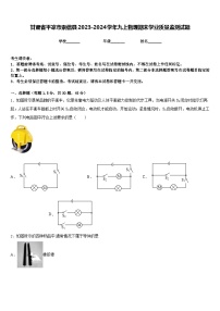 甘肃省平凉市崇信县2023-2024学年九上物理期末学业质量监测试题含答案