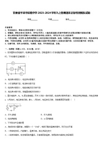 甘肃省平凉市铁路中学2023-2024学年九上物理期末达标检测模拟试题含答案