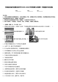 甘肃省武威市民勤实验中学2023-2024学年物理九年级第一学期期末考试试题含答案