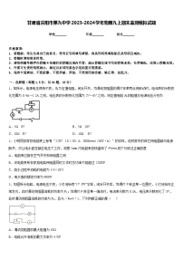 甘肃省庆阳市第九中学2023-2024学年物理九上期末监测模拟试题含答案