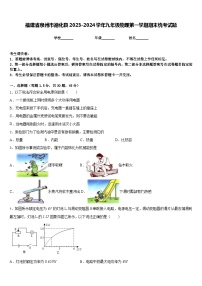 福建省泉州市德化县2023-2024学年九年级物理第一学期期末统考试题含答案