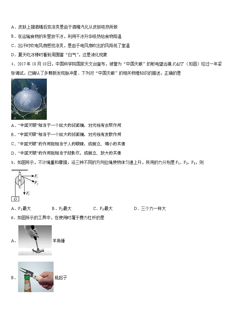 福建省厦门市五校2023-2024学年九上物理期末质量检测模拟试题含答案02