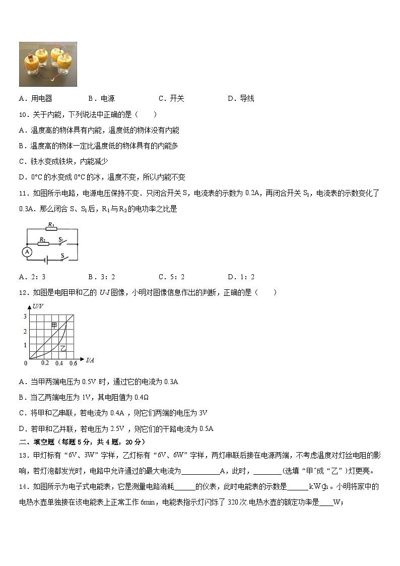 福建省华安中学2023-2024学年物理九年级第一学期期末学业水平测试模拟试题含答案第3页