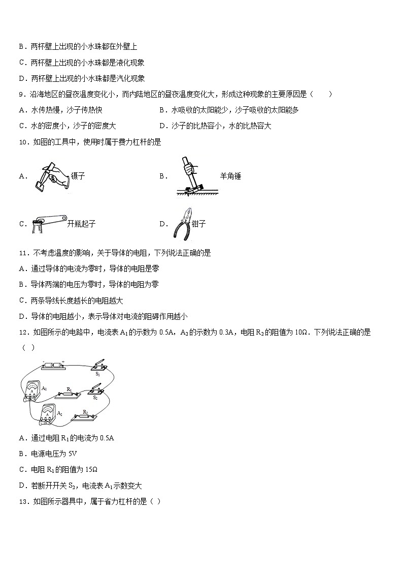 眉山市重点中学2023-2024学年物理九年级第一学期期末达标检测模拟试题含答案03