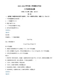 山东省临沂市临沭县2023-2024学年八年级上学期1月期末物理试题