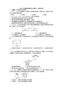 2024年中考物理高频考点专项练习：电压和电阻