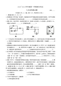 河南省漯河市临颍县2020-2021学年九年级上学期期末考试物理试题