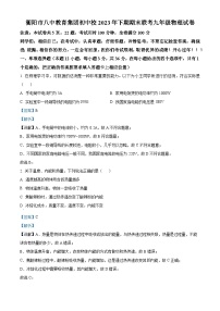 湖南省衡阳市八中教育集团初中校2023-2024学年九年级上学期期末考试物理试题