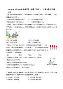 2023-2024学年山东省德州市宁津县八年级（上）期末物理试卷（含解析）