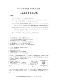 广东省河源市和平县2023-2024学年九年级上学期期末考试物理试题