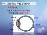 滬粵版物理八年級上冊  3.7眼睛與光學儀器課件