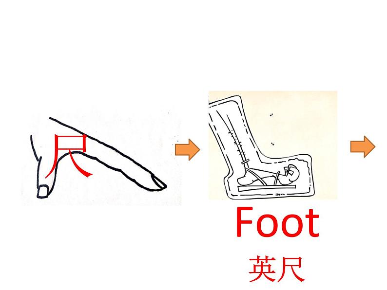 沪粤版物理八年级上册  1.2 测量长度和时间课件第8页