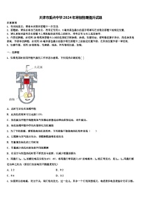 天津市重点中学2024年寒假物理提升试题