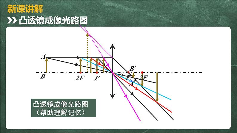 北师大版物理八年级下册 6.3、生活中的透镜 教学课件第4页