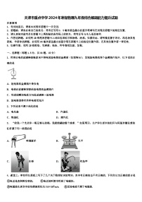 天津市重点中学2024年寒假物理九年级综合解题能力提升试题