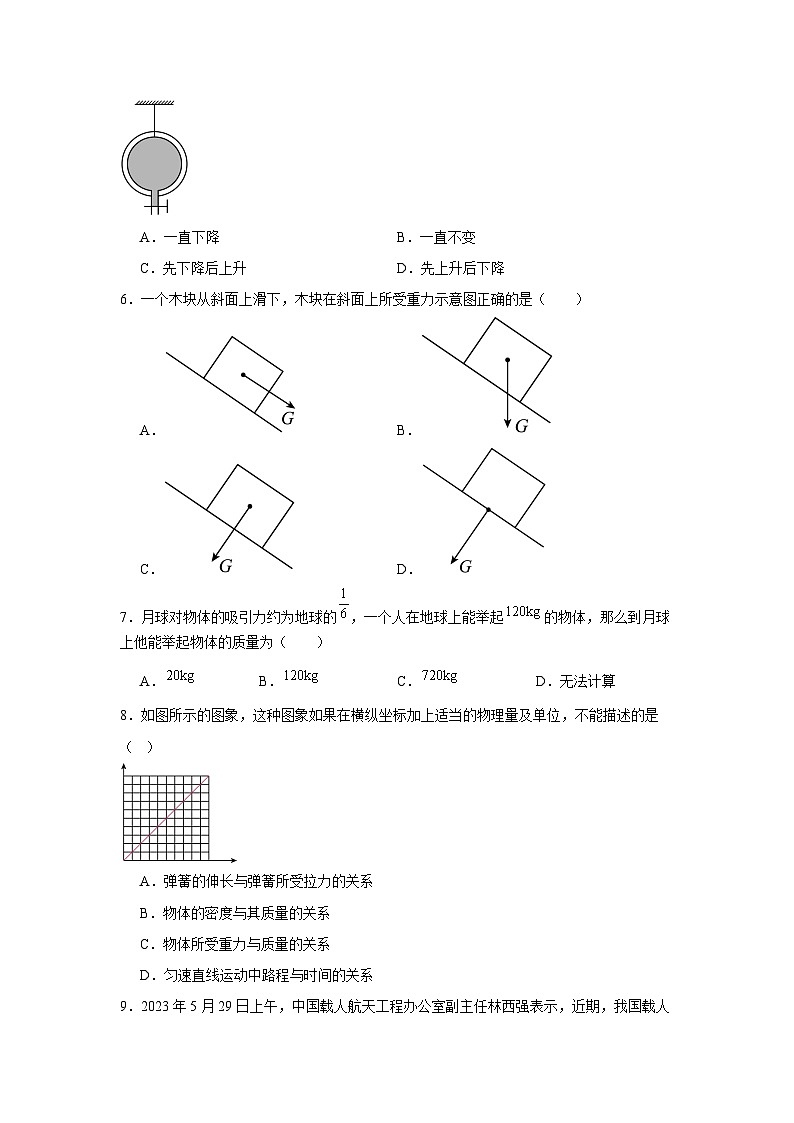 7.3重力同步练习-2023-2024学年人教版物理八年级下册02