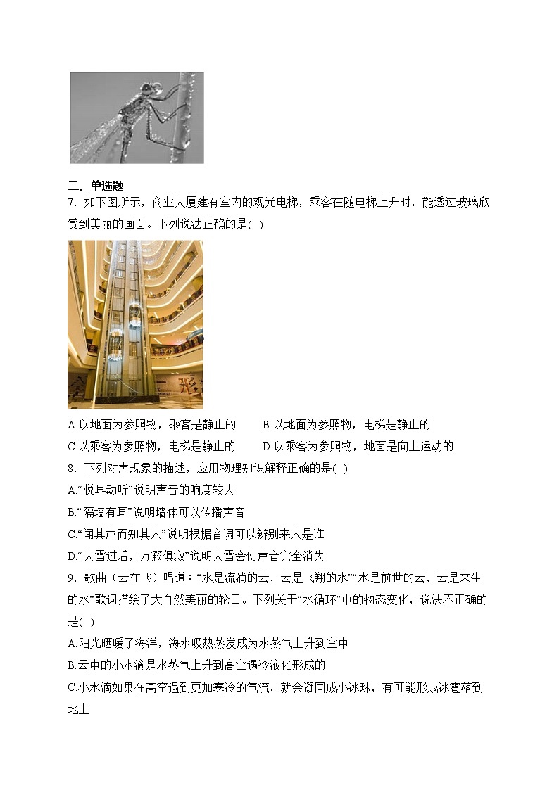 河南省信阳市息县2023-2024学年八年级上学期期中考试物理试卷(含答案)第2页