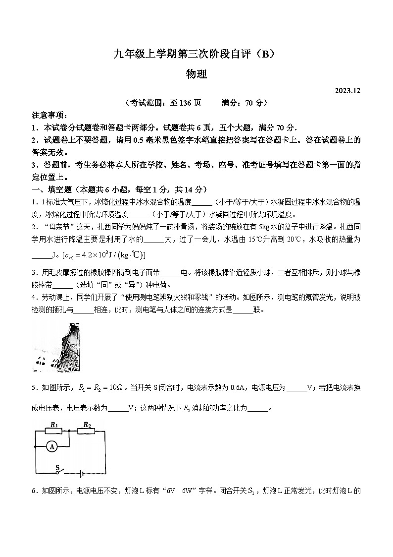 06，河南省安阳市林州市2023-2024学年九年级上学期12月月考物理试题第1页
