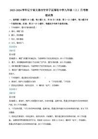 15，辽宁省大连市甘井子区博伦中学2023-2024学年九年级上学期月考物理试题