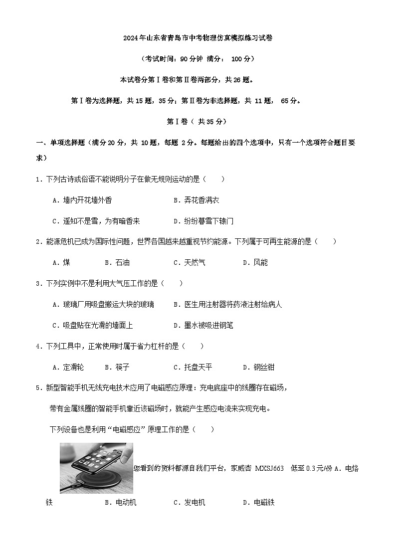 19，2024年山东省青岛市中考物理仿真模拟练习试卷01