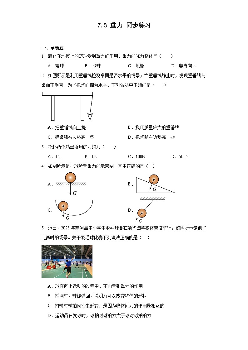 2023-2024学年人教版物理八年级下册7.3重力同步练习（含答案）01