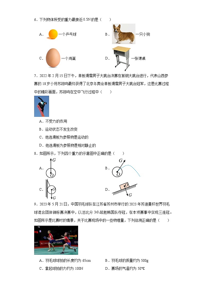 2023-2024学年人教版物理八年级下册7.3重力同步练习（含答案）02