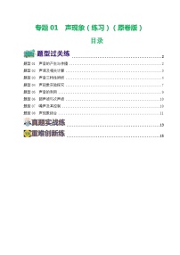 2024年中考物理一轮复习 专题01  声现象（8题型）（练习） （全国通用）