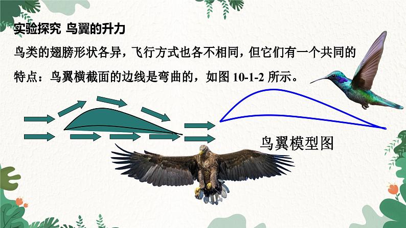 教科版物理八年级下册 10.1  在流体中运动课件04