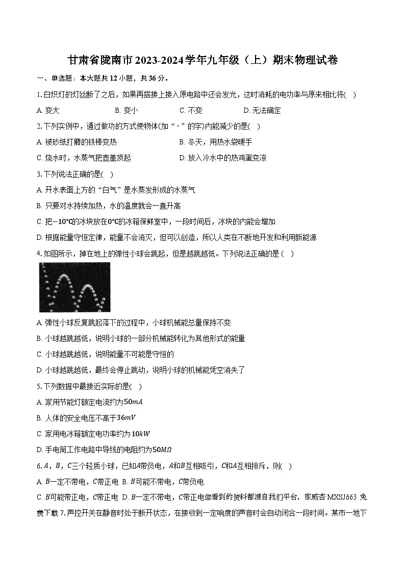 甘肃省陇南市2023-2024学年九年级上学期期末物理试卷第1页