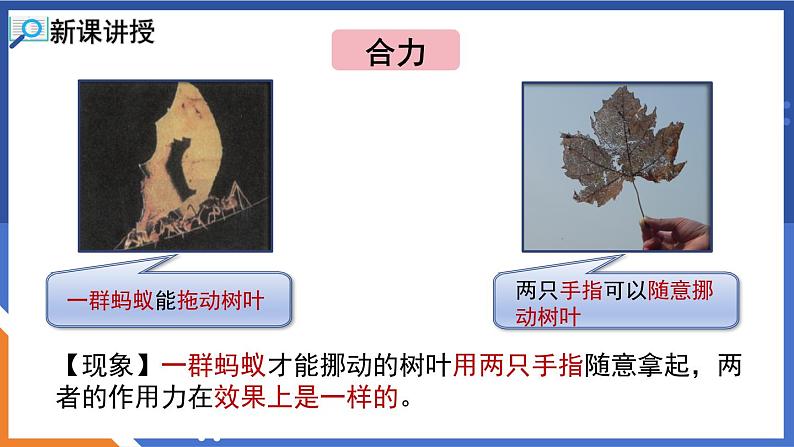 第二节 力的合成第4页